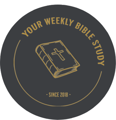 YWBS